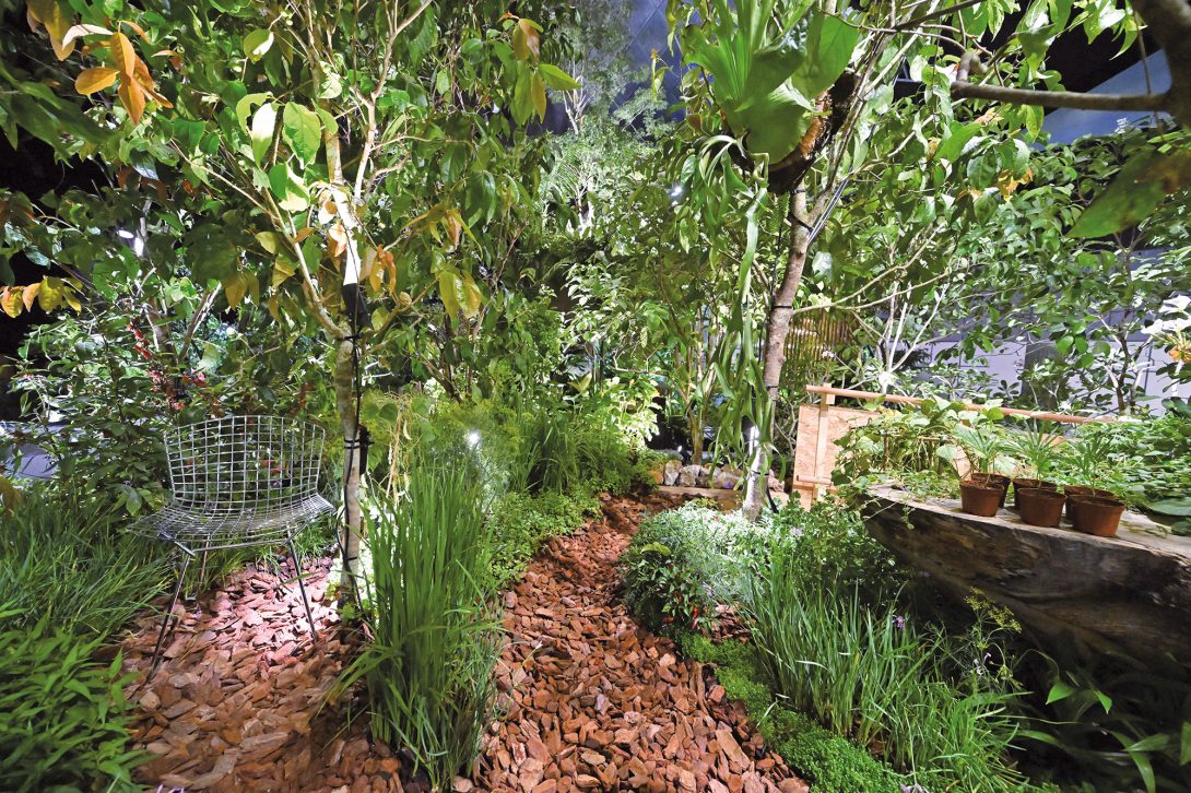 Engardening by Ann Teo, Best of Show Designer Gardens Competition 3