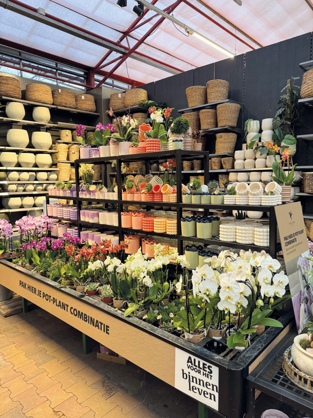 OK Plants