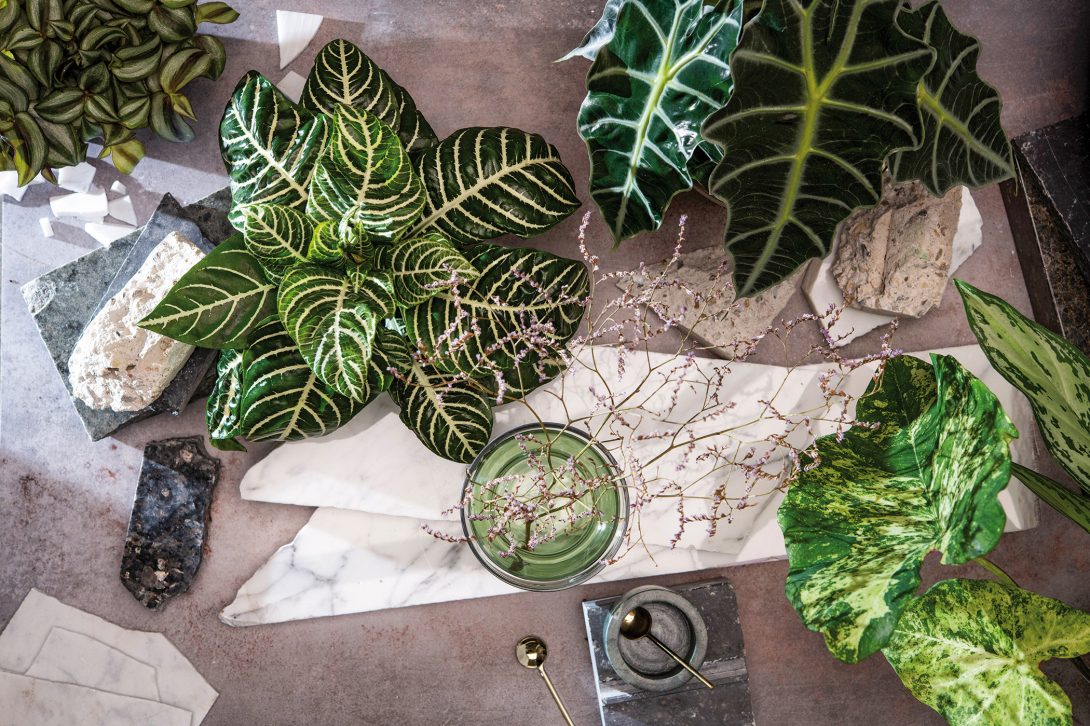 green-trend-report-Transition_6051